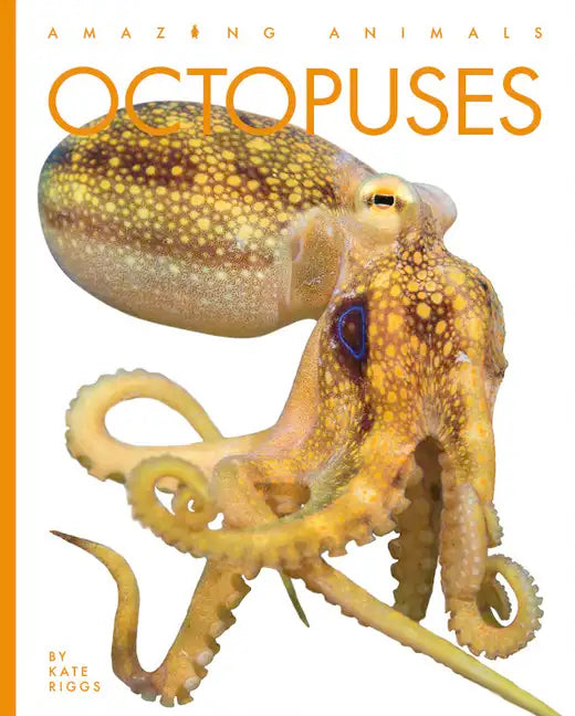 Octopuses - Paperback