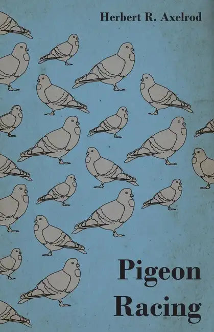 Pigeon Racing - Paperback