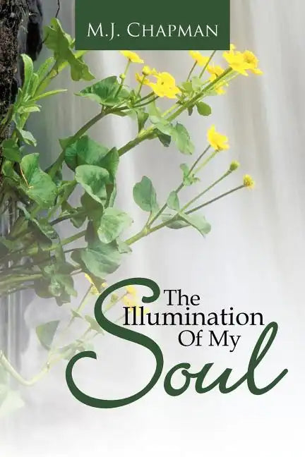 The Illumination of My Soul - Paperback