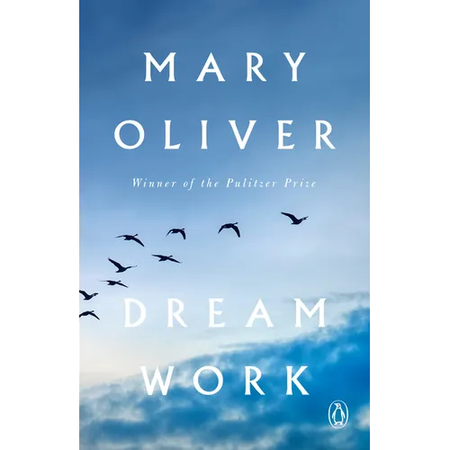 Dream Work - Paperback