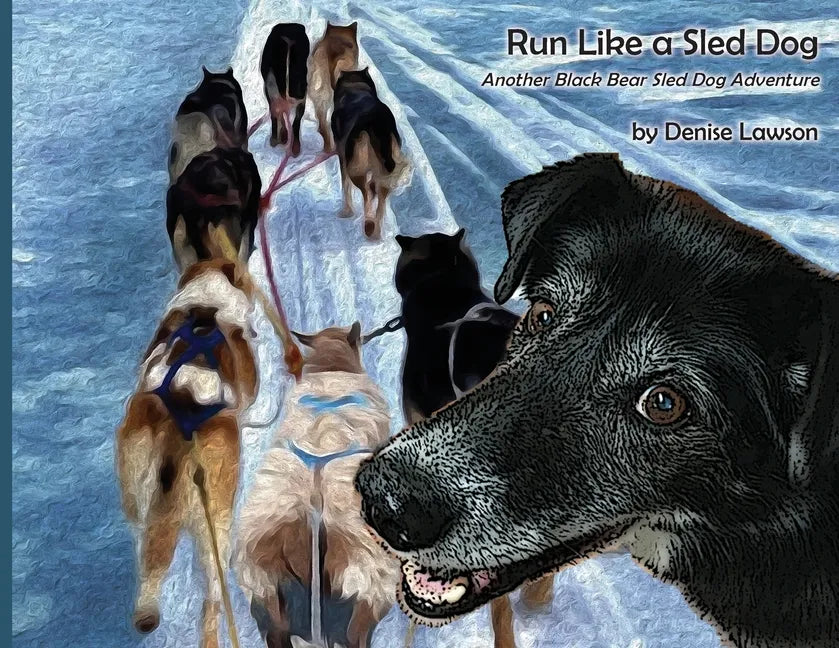 Run Like a Sled Dog: Another Black Bear Sled Dog Adventure - Paperback