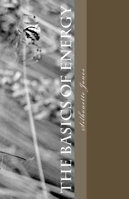 The Basics of Energy - Paperback