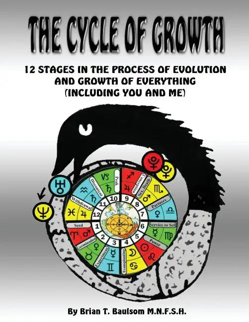 The Cycle Of Growth: 12 Stages in the Process of Evolution and Growth of Everything (including you and me) - Paperback