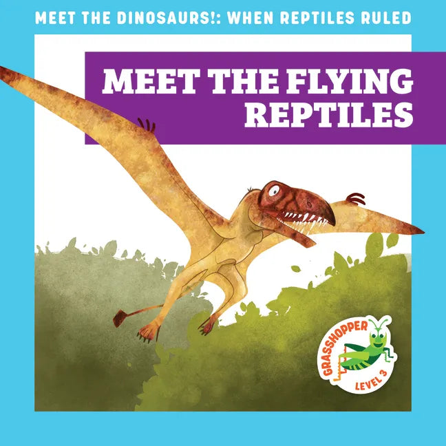 Meet the Flying Reptiles - Paperback