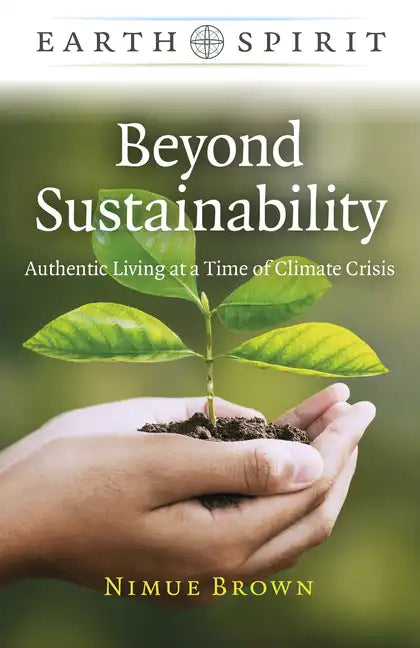 Beyond Sustainability: Authentic Living at a Time of Climate Crisis - Paperback