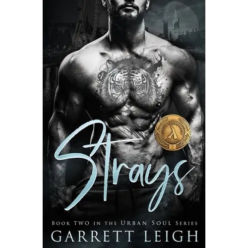 Strays: Angsty Gay Romance - Paperback