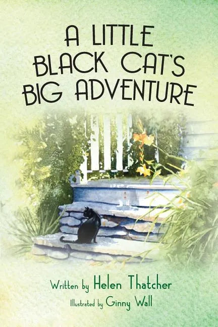 A Little Black Cat's Big Adventure - Paperback