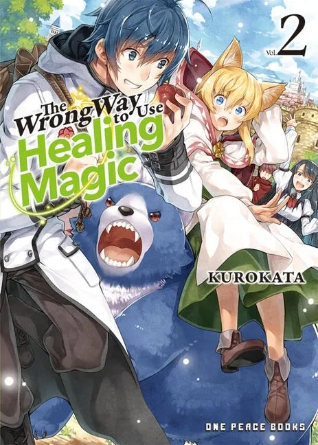 The Wrong Way to Use Healing Magic Volume 2: Light Novel - Paperback
