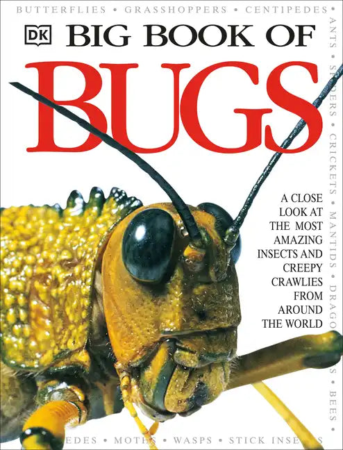Big Book of Bugs - Hardcover