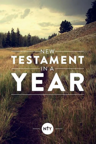 New Testament in a Year - Paperback