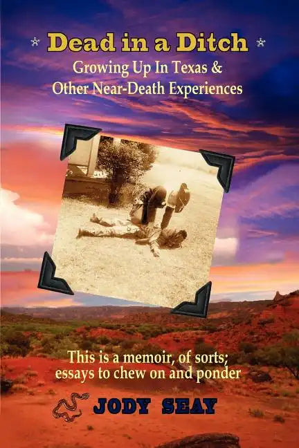 Dead in a Ditch - Paperback