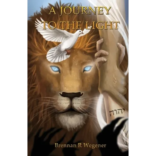 A Journey to the Light - Paperback