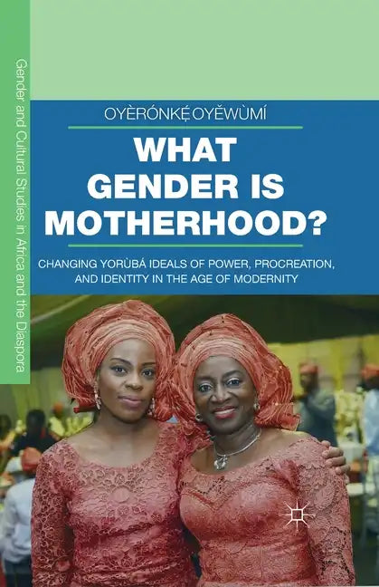 What Gender Is Motherhood?: Changing Yorùbá Ideals of Power, Procreation, and Identity in the Age of Modernity - Paperback
