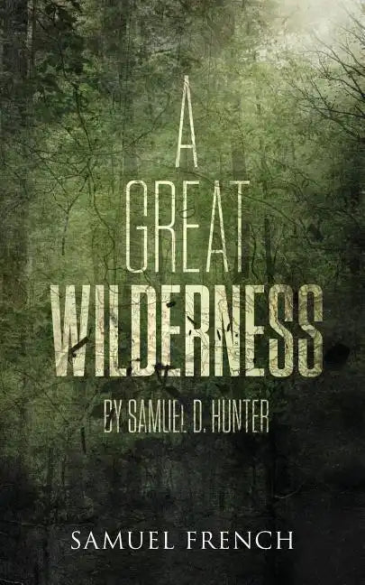 A Great Wilderness - Paperback