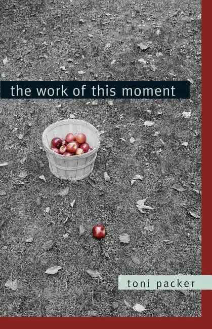 The Work of This Moment - Paperback