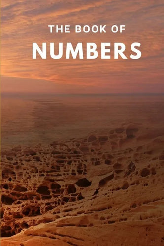 The Book Of Numbers - Paperback