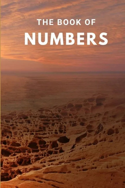 The Book Of Numbers - Paperback