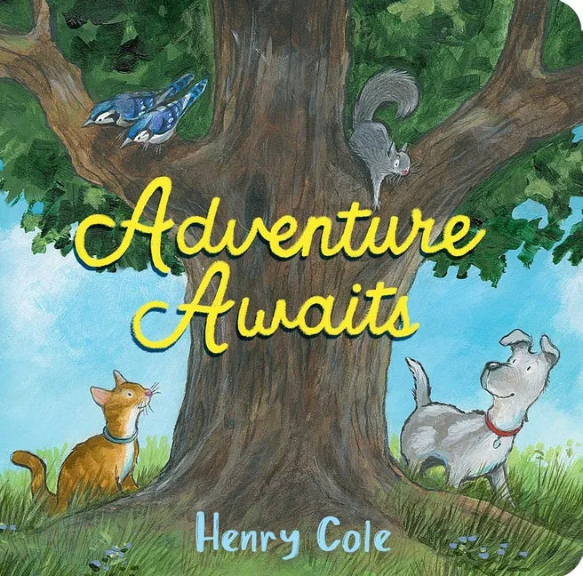 Adventure Awaits - Board Book