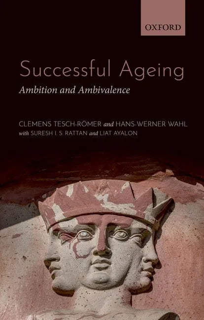 Successful Ageing: Ambition and Ambivalence - Paperback
