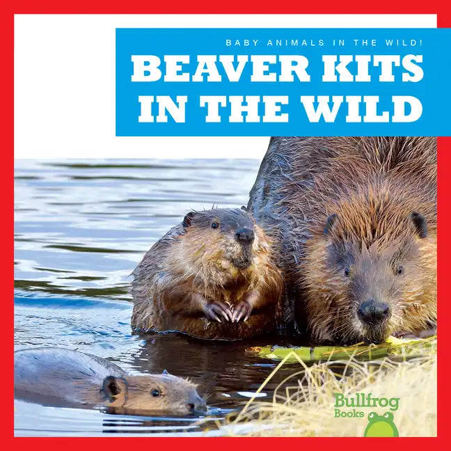 Beaver Kits in the Wild - Library Binding