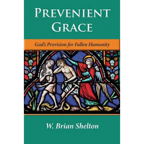 Prevenient Grace: God's Provision for Fallen Humanity - Paperback