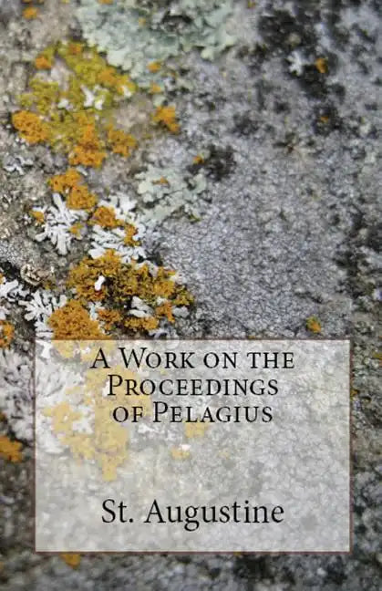 A Work on the Proceedings of Pelagius - Paperback