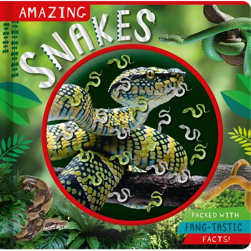 Amazing Snakes - Paperback