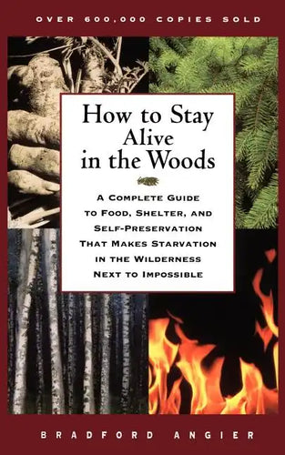 How to Stay Alive in the Woods - Paperback