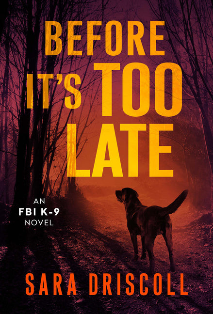 Before It's Too Late - Paperback