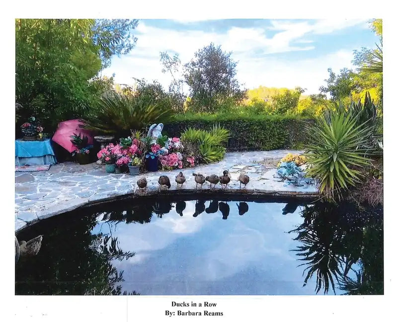 Ducks in a Row - Hardcover