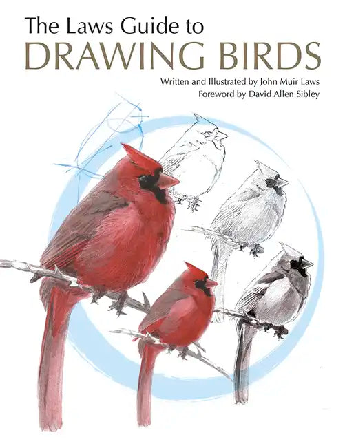 The Laws Guide to Drawing Birds - Paperback