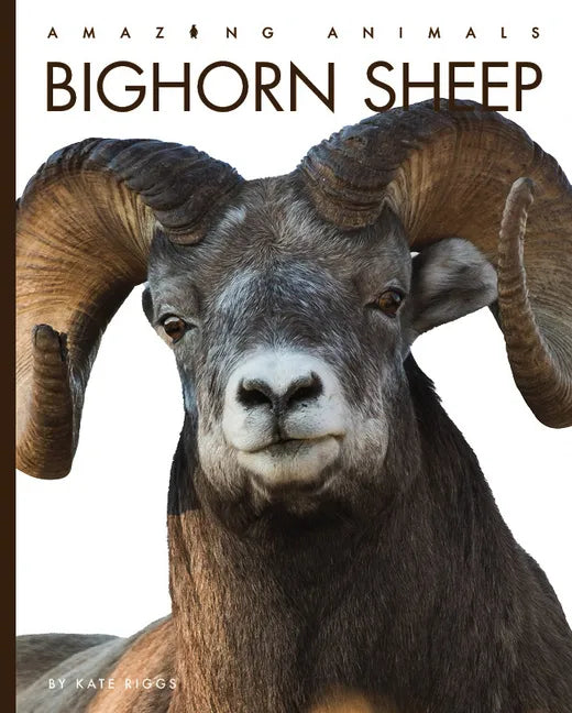 Bighorn Sheep - Library Binding