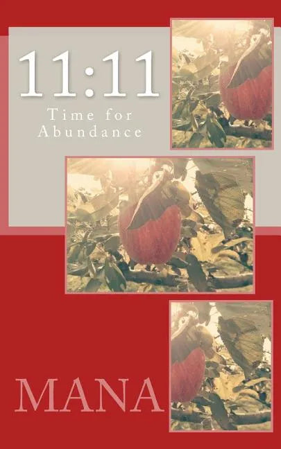 11: 11: Time for Abundance - Paperback