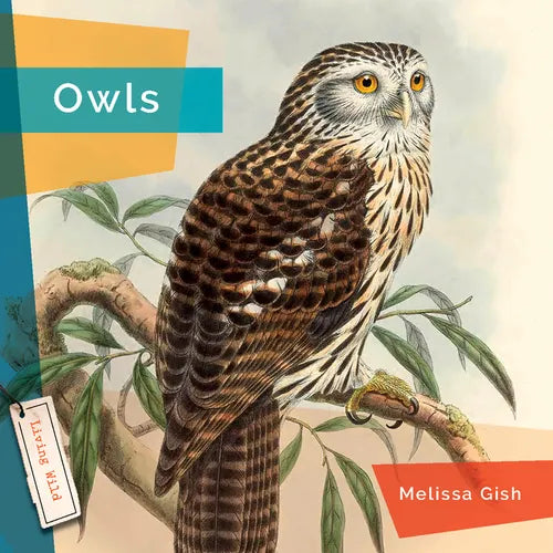 Owls - Paperback