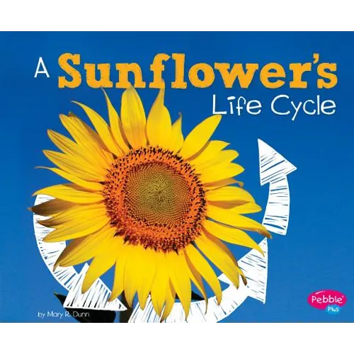 A Sunflower's Life Cycle - Paperback