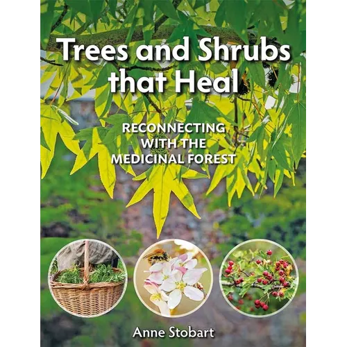 Trees and Shrubs That Heal: Reconnecting with the Medicinal Forest - Paperback
