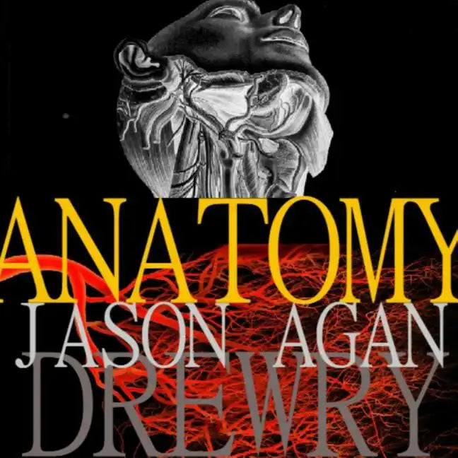 Anatomy - Paperback