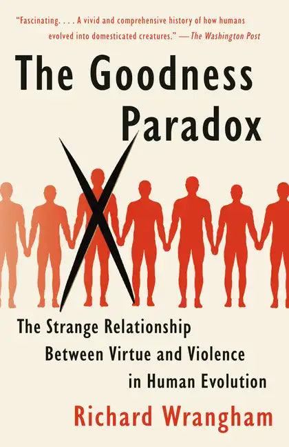The Goodness Paradox: The Strange Relationship Between Virtue and Violence in Human Evolution - Paperback