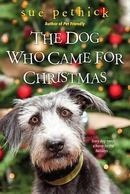 The Dog Who Came for Christmas - Paperback