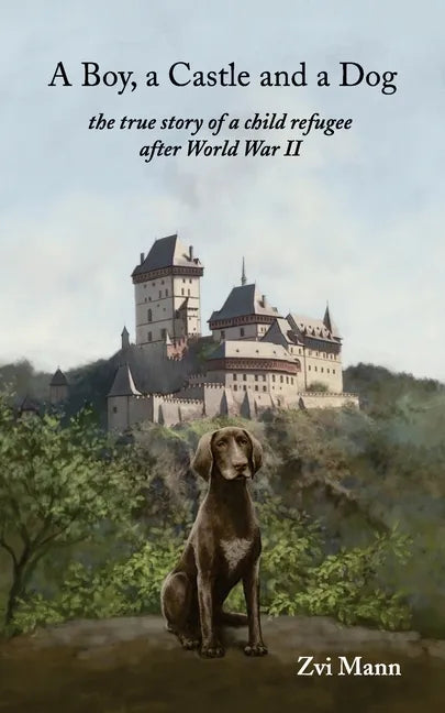 A Boy, A Castle and A Dog - Paperback