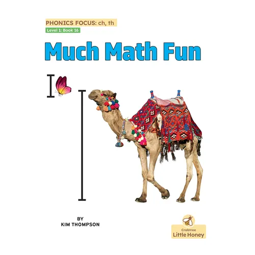 Much Math Fun - Paperback