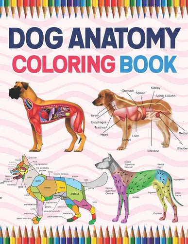Dog Anatomy Coloring Book: Dog Anatomy Coloring Workbook for Kids, Boys, Girls & Adults. The New Surprising Magnificent Learning Structure For Ve - Paperback