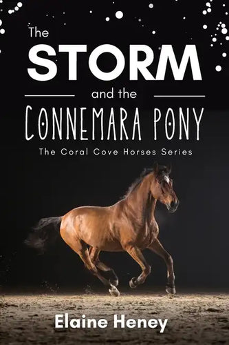 The Storm and the Connemara Pony - The Coral Cove Horses Series - Paperback