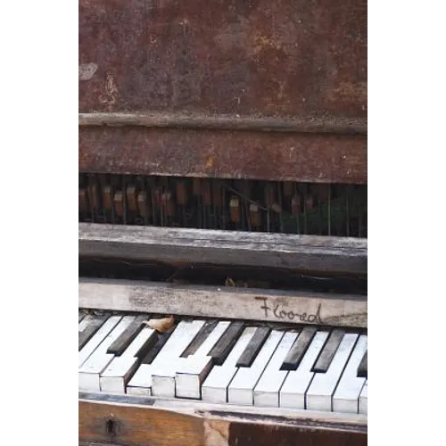 Floored!: The Poetry of Maiche Lev - Paperback