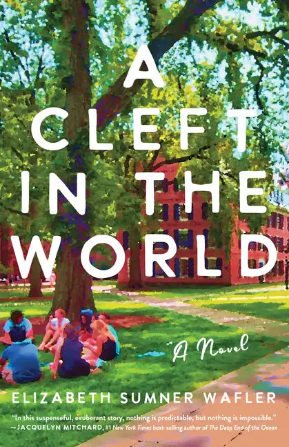 A Cleft in the World - Paperback