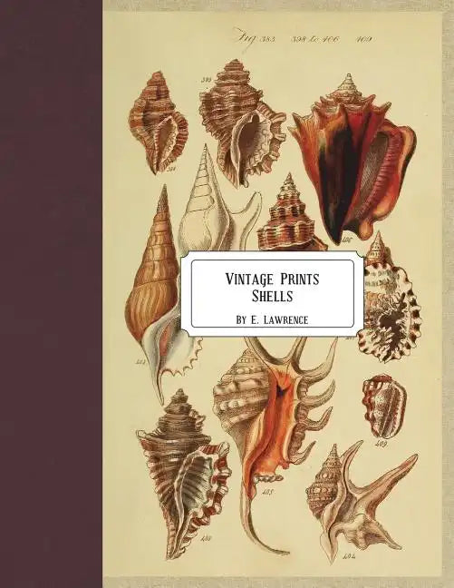 Vintage Prints: Shells - Paperback