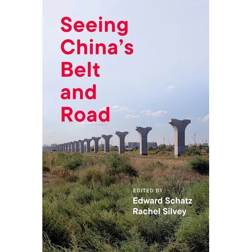 Seeing China's Belt and Road - Paperback