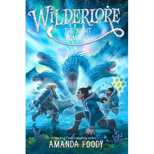 The Night Compass - Paperback