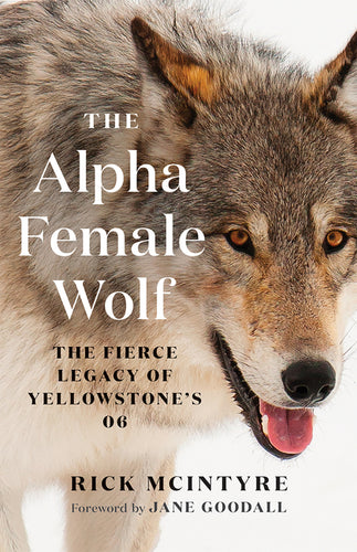 The Alpha Female Wolf: The Fierce Legacy of Yellowstone's 06 - Paperback