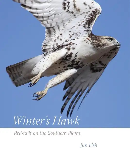 Winter's Hawk: Red-Tails on the Southern Plains - Paperback
